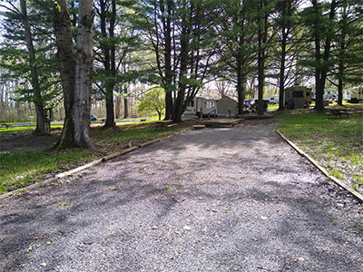 Most of our sites are level and 40 x 100 long... no size limit!
